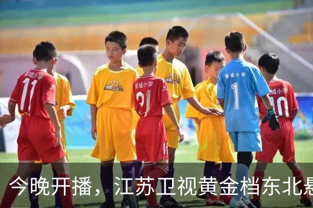 今晚开播，江苏卫视黄金档东北悬疑大剧来袭！阵容强大，值得一看